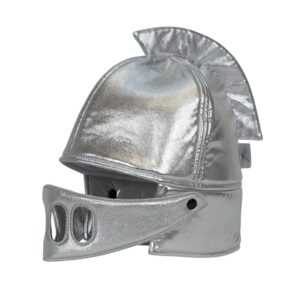 Ridderhelm Zilver voor je hobbyhorses avontuur