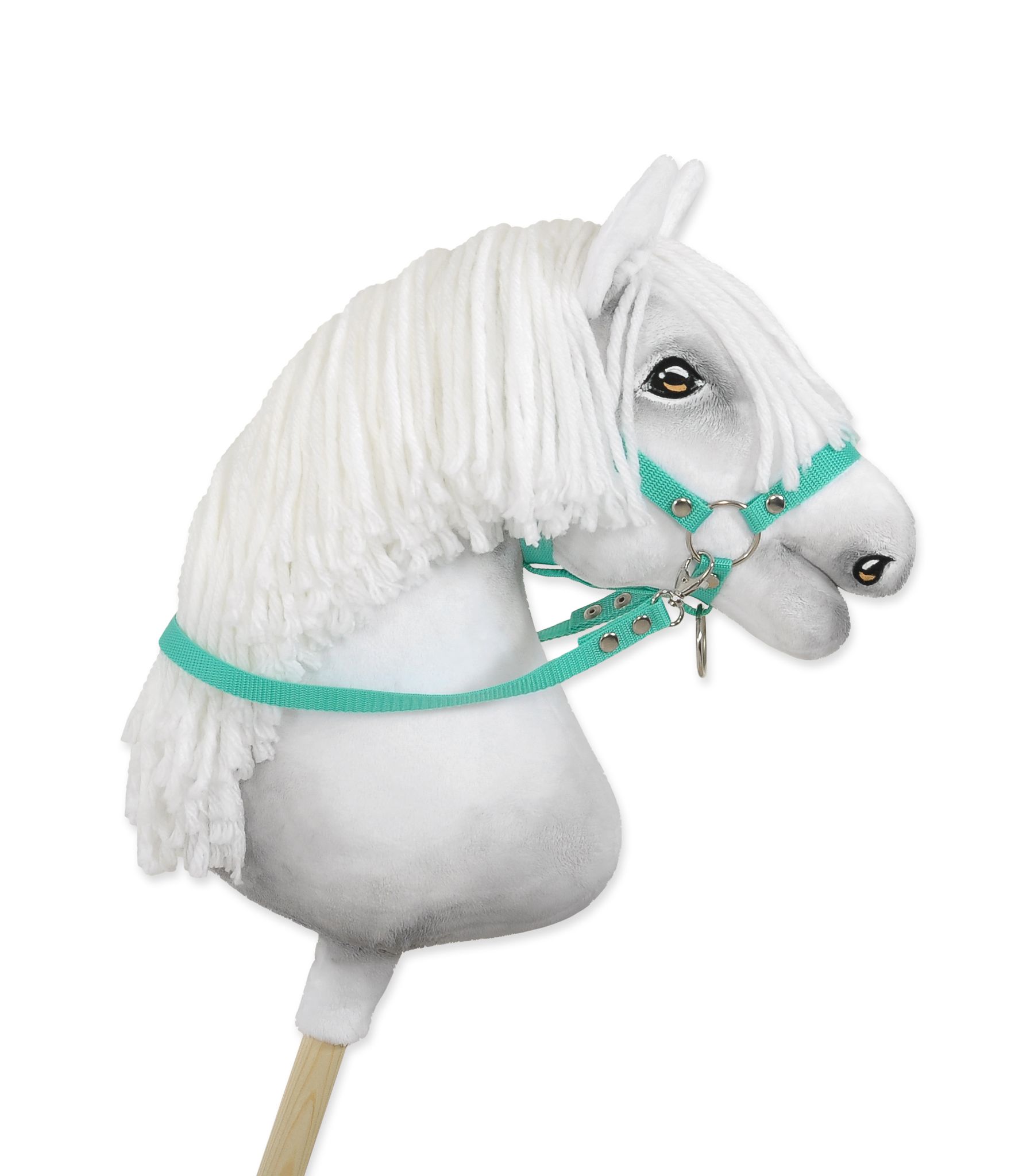 Teugels Stokpaard, mint