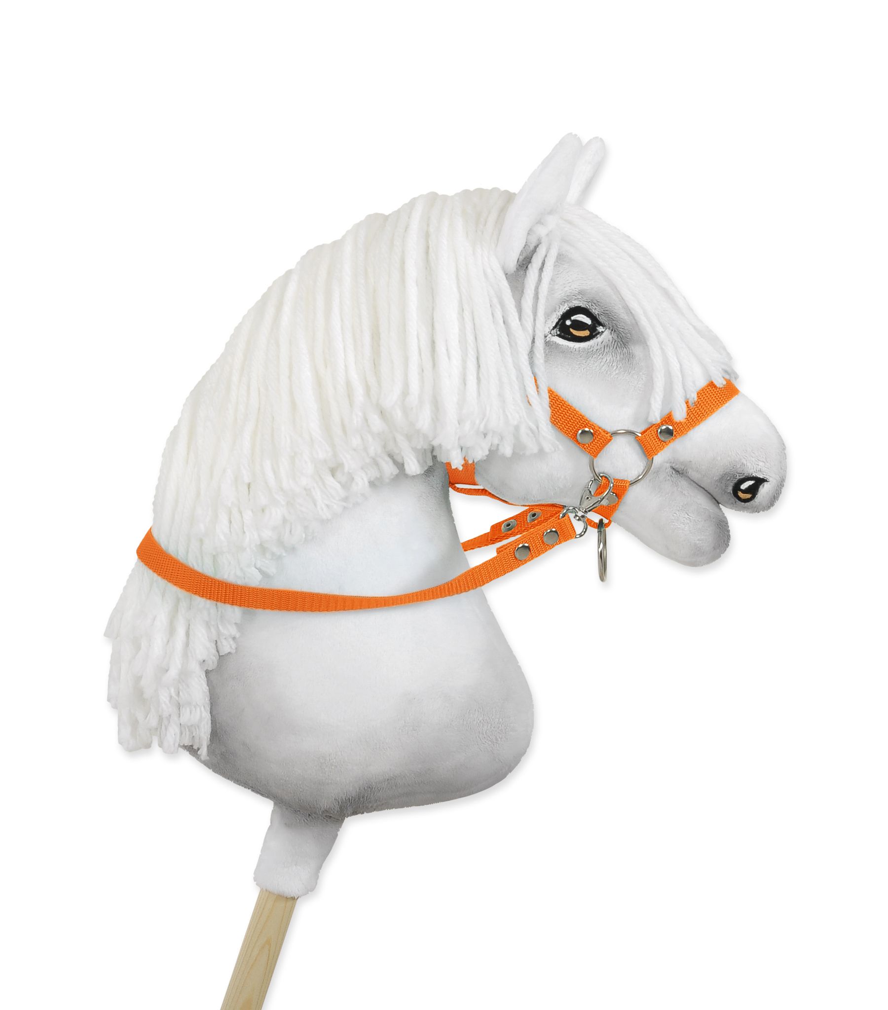Teugels Stokpaard, oranje