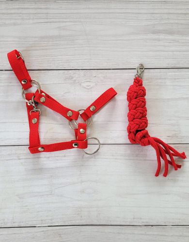 Halsterset - Afbeelding 2